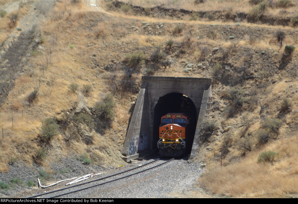 BNSF 8393